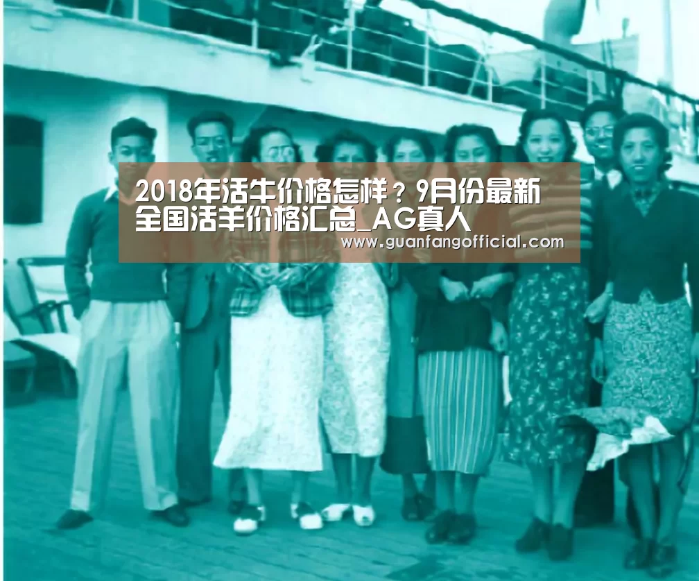 AG电竞