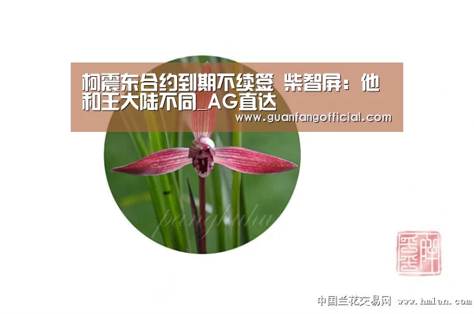AG官方