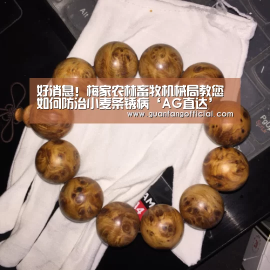 好消息!梅家农林畜牧机械局教您如何防治小麦条锈病‘AG直达’(图3) AG官方