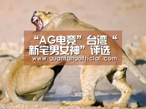 AG官方